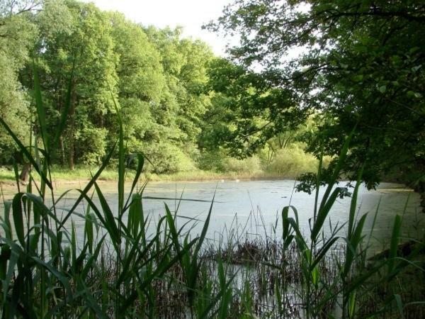 Ferienhaus Bindow Heidesee Kültér fotó